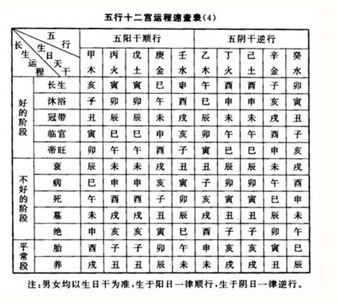 長生右手地支|八字十二長生解讀——長生